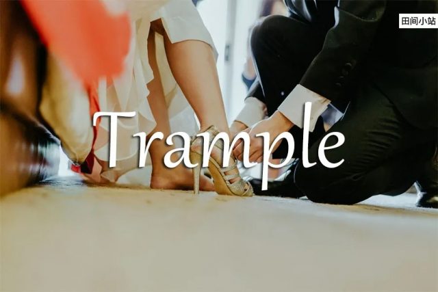 小词详解 | trample