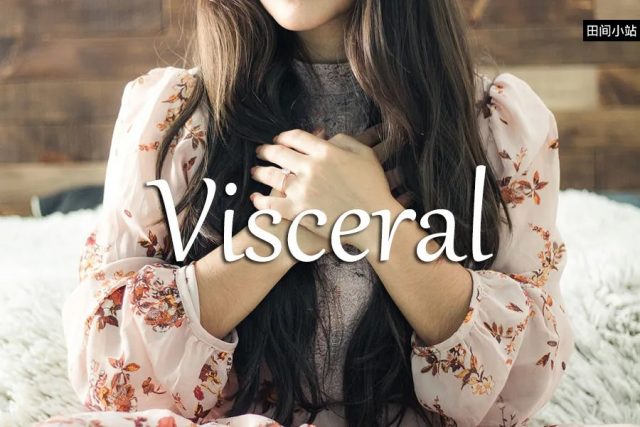 小词详解 | visceral