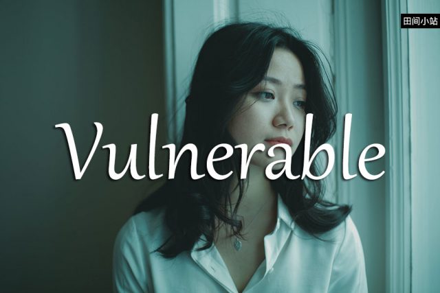 小词详解 | vulnerable