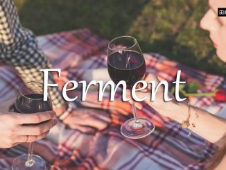 小词详解 | ferment