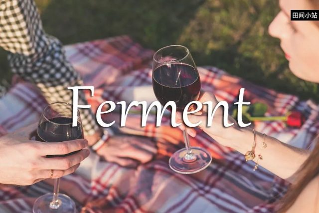 小词详解 | ferment
