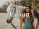 小词详解 | gallop