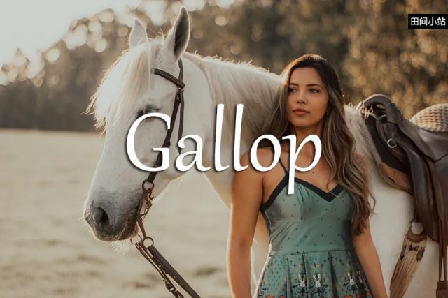 小词详解 | gallop
