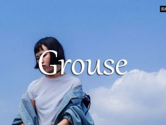 小词详解 | grouse