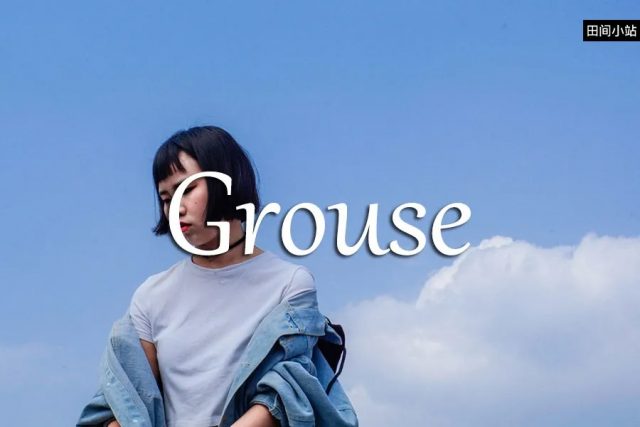 小词详解 | grouse