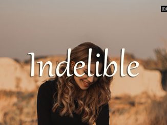 小词详解 | indelible