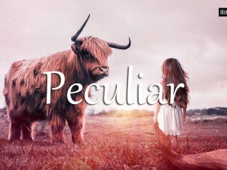 小词详解 | peculiar