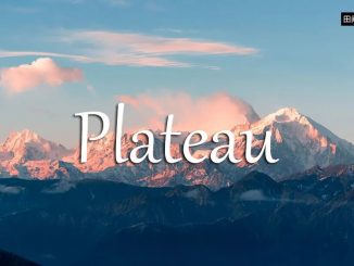 小词详解 | plateau