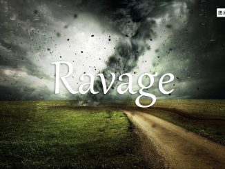 小词详解 | ravage