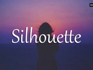 小词详解 | silhouette