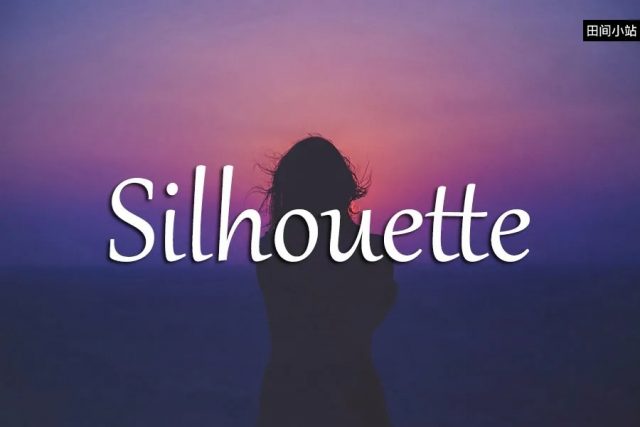 小词详解 | silhouette