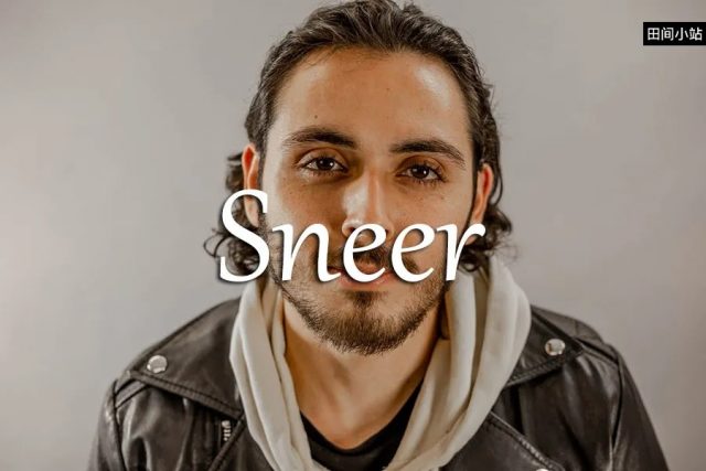 小词详解 | sneer