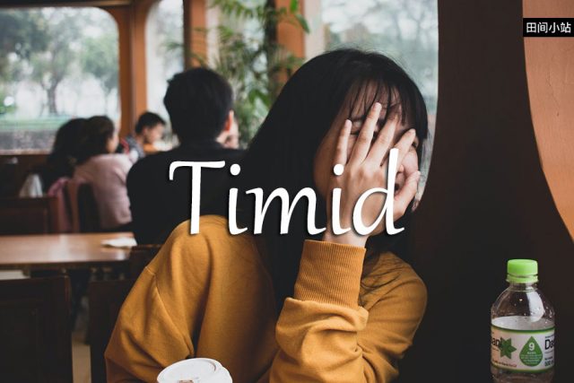 小词详解 | timid