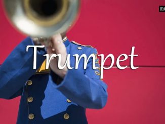 小词详解 | trumpet