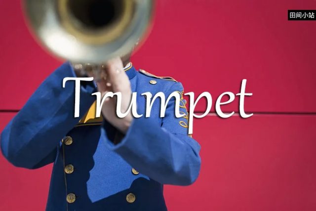 小词详解 | trumpet