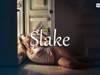 小词详解 | slake