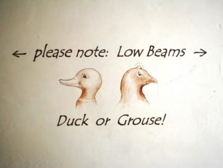熟词僻义 | duck是一种怎样的行走？