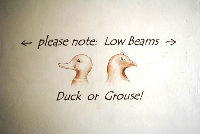 熟词僻义 | duck是一种怎样的行走？