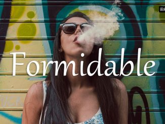 小词详解 | formidable