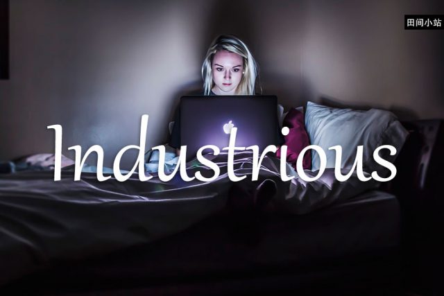 小词详解 | industrious