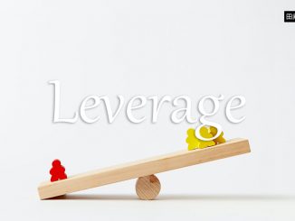 小词详解 | leverage
