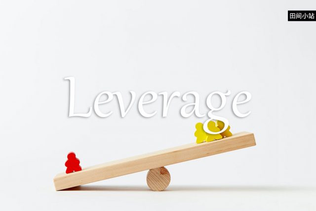 小词详解 | leverage