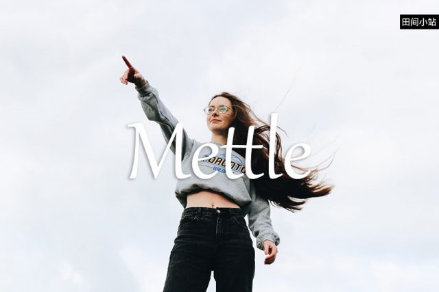 小词详解 | mettle