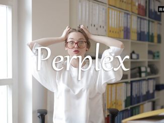 小词详解 | perplex