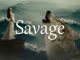 小词详解 | savage