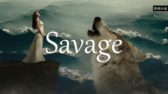 小词详解 | savage