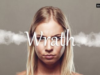 小词详解 | wrath