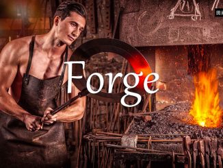 小词详解 | forge