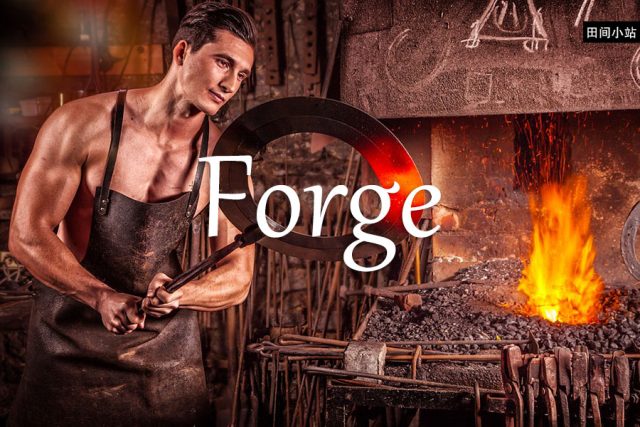 小词详解 | forge