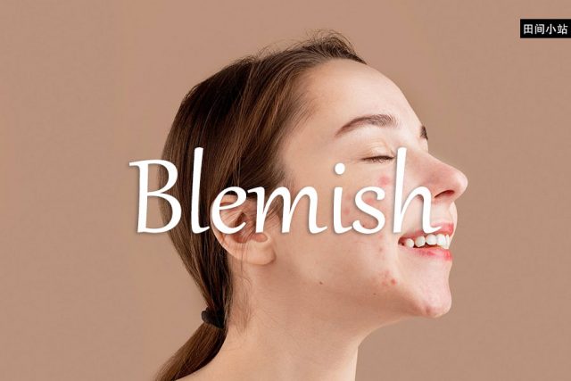 小词详解 | blemish