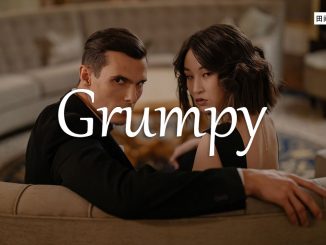 小词详解 | grumpy