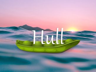 小词详解 | hull