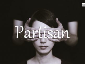 小词详解 | partisan