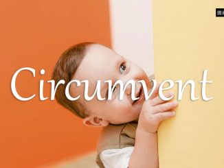 小词详解 | circumvent