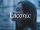 小词详解 | laconic