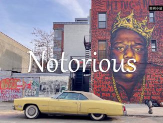 小词详解 | notorious