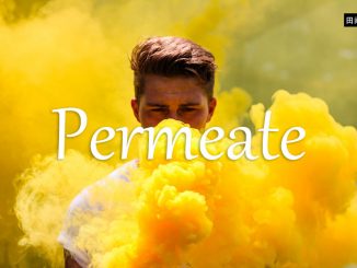 小词详解 | permeate