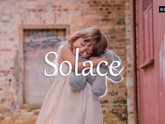 小词详解 | solace