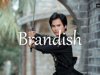 小词详解 | brandish
