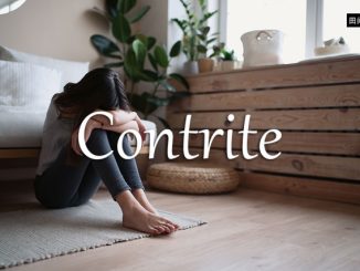 小词详解 | contrite