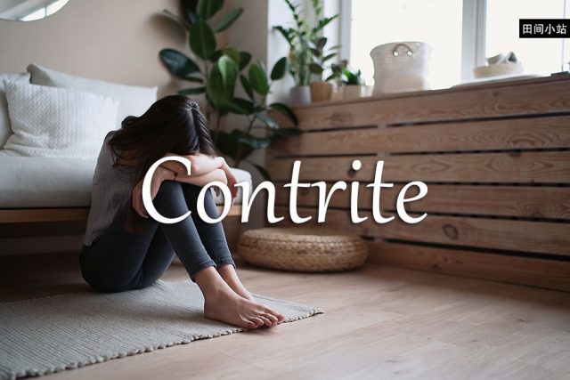 小词详解 | contrite