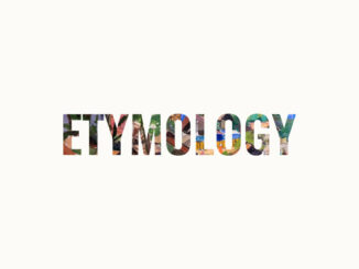 英语词源（etymology）