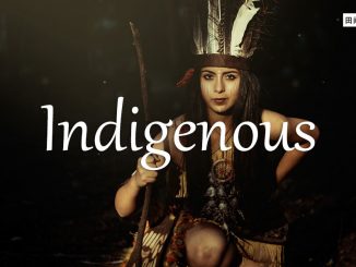 小词详解 | indigenous