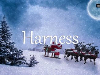 小词详解 | harness