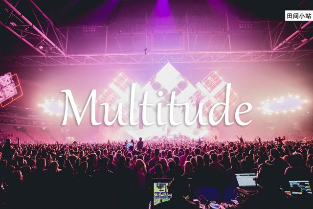 小词详解 | multitude