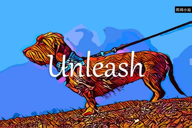 小词详解 | unleash